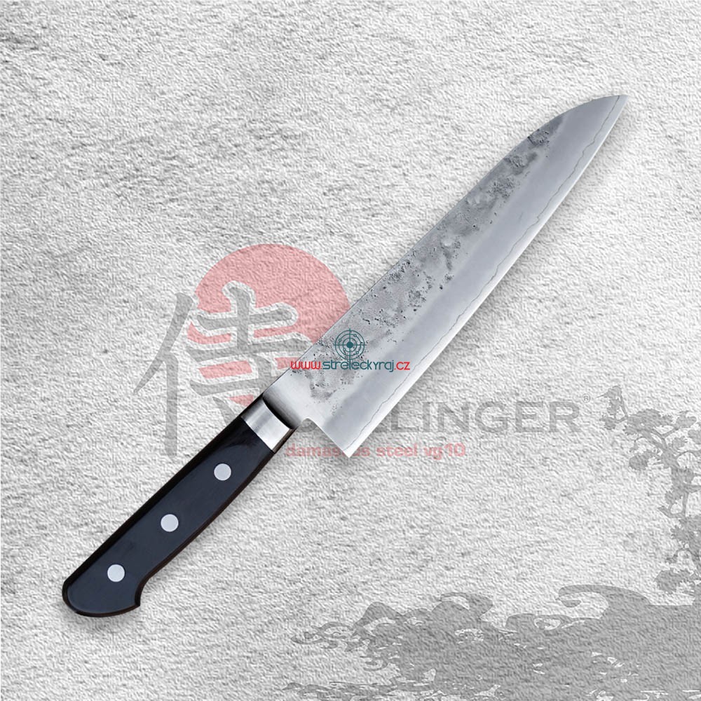 nůž Gyuto 240 mm - Hokiyama - Sakon Ginga | streleckyraj.cz